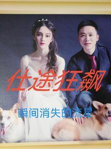 仕途狂飙 王 斯宇