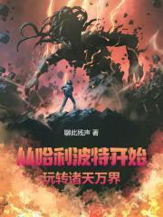 从哈利波特开始当主角免费阅读