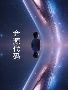 命源代码大全1-100
