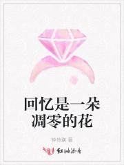 回忆也是一种美的说说