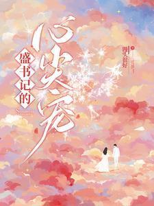 盛书记的心尖宠免费完整版