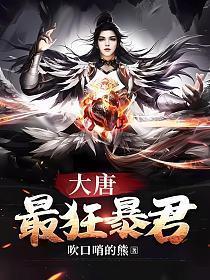 大唐最狂暴君杨辰有几个女人