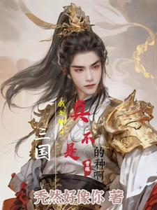 刘阿斗是谁所生