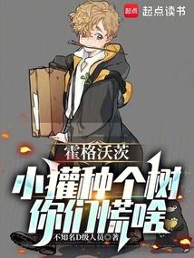 你们慌啥免费阅