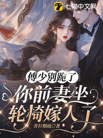 你前妻坐轮椅嫁人了 青衫烟雨