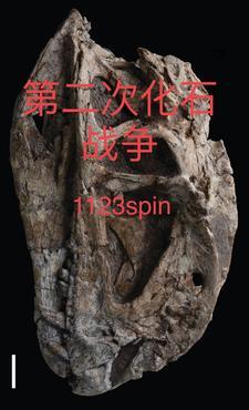 第一次化石战争