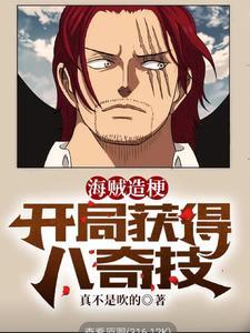 海贼开局八大奇迹
