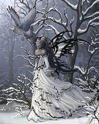 前夫求复婚短剧免费观看